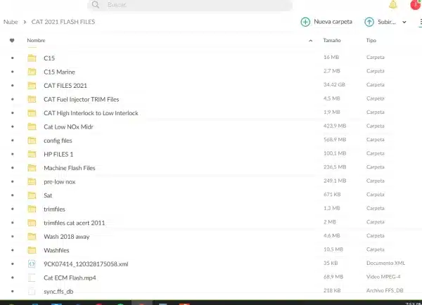 CAT FLASH FILES 73 GB - Imagen 3