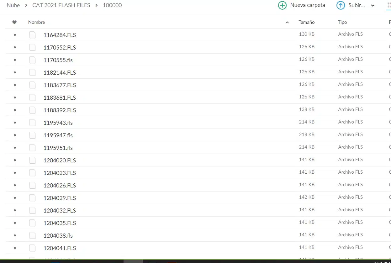 CAT FLASH FILES 73 GB - Imagen 4