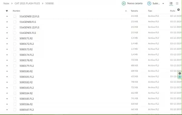 CAT FLASH FILES 73 GB - Imagen 5