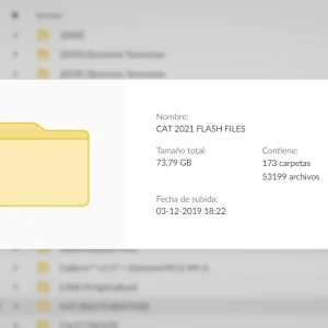 CAT FLASH FILES 73 GB