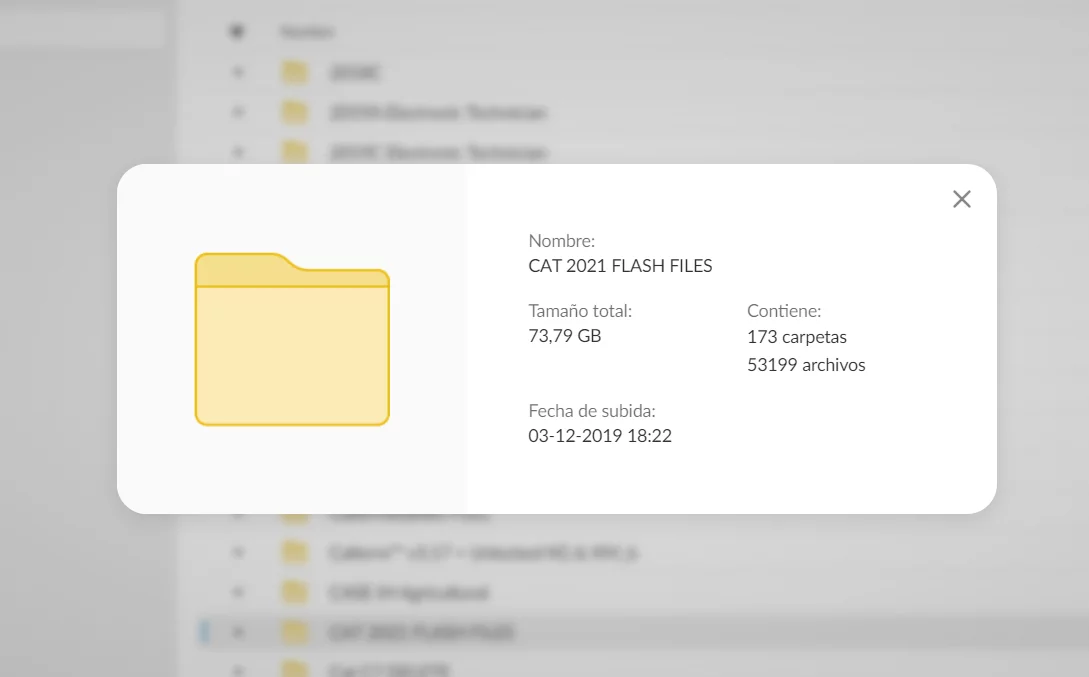 CAT FLASH FILES 73 GB
