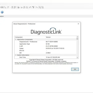 Alternative view of Diesel Diagnostic Link dddl 8.17 SP1